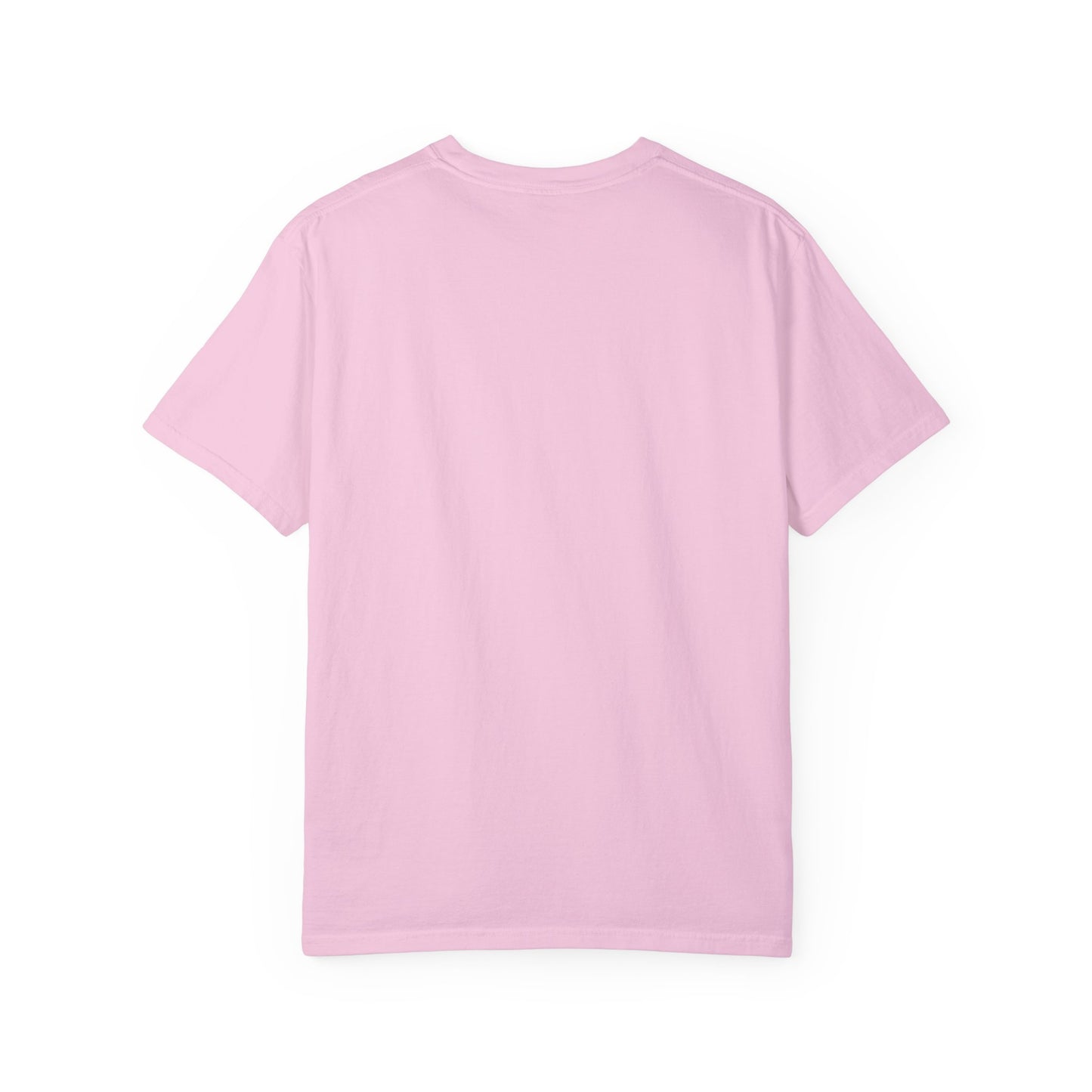 Sense and Sensibility Jane Austen Fan Gift For Historical Romance Reader T-Shirt Printify