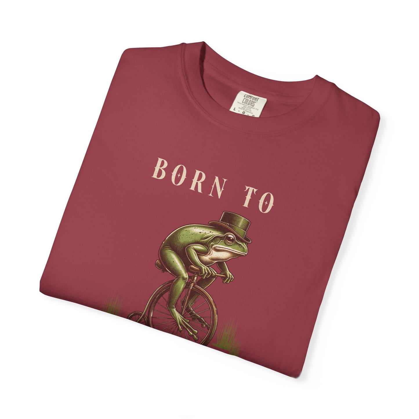 Dilly Dally Frog T-Shirt Retro Vibes Froggy Meme Shirt Vintage Frog And Toad Aesthetic Frog Lover Gift For Her Birthday Viral Trendy Shirt