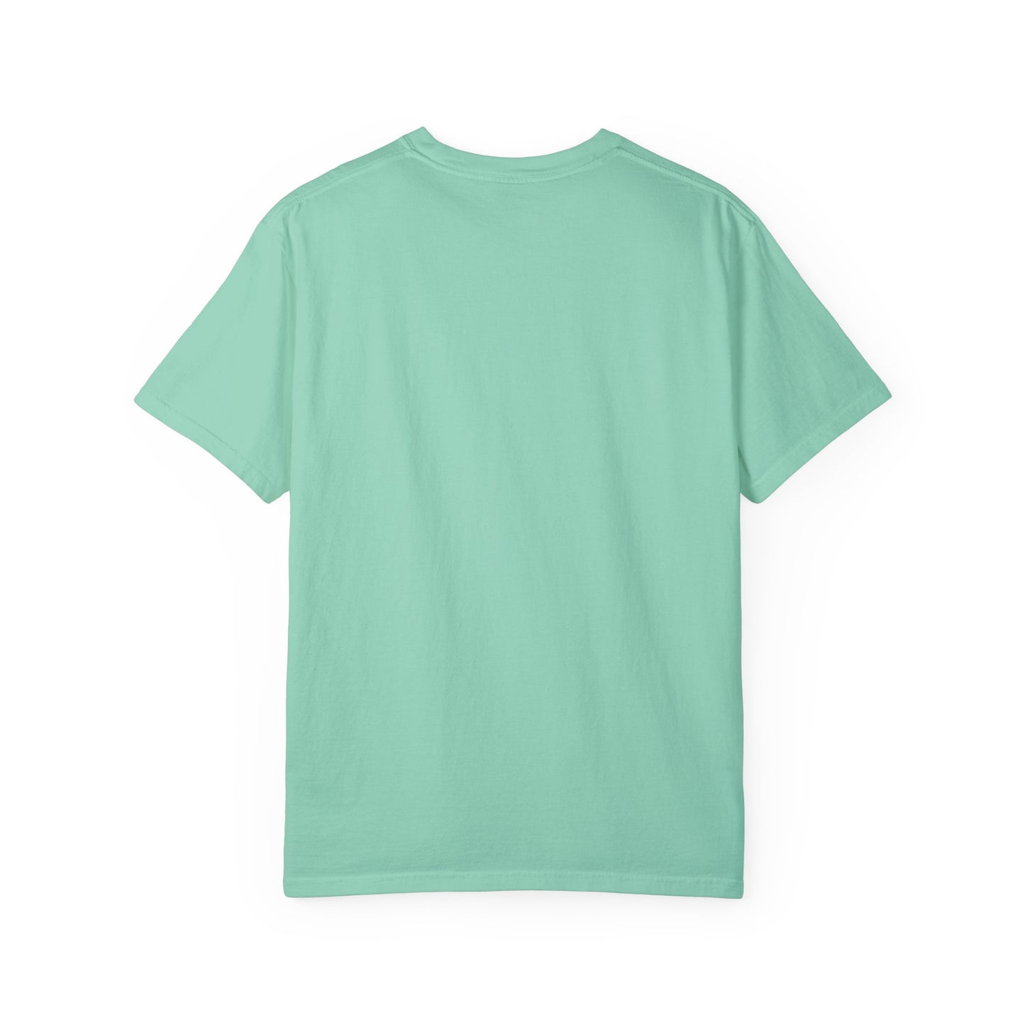 Anne Of Green Gables Shirt Gift For Green Gables Fan Anne With An E Anne Shirley Prince Edward Island Shirt Gift For Book Lover Bookish Gift T-Shirt Printify