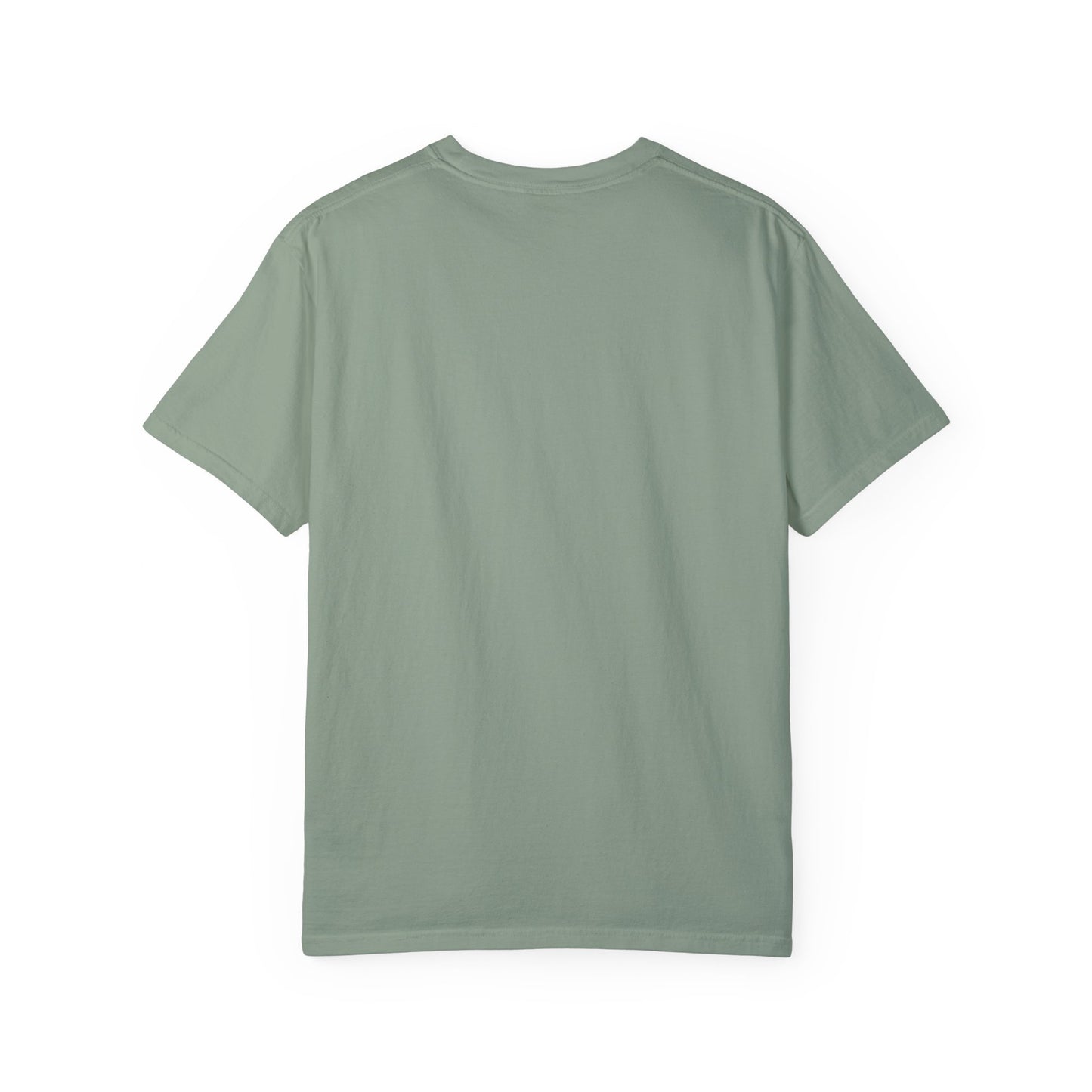 Anne Of Green Gables Shirt Gift For Green Gables Fan Anne With An E Anne Shirley Prince Edward Island Shirt Gift For Book Lover Bookish Gift T-Shirt Printify