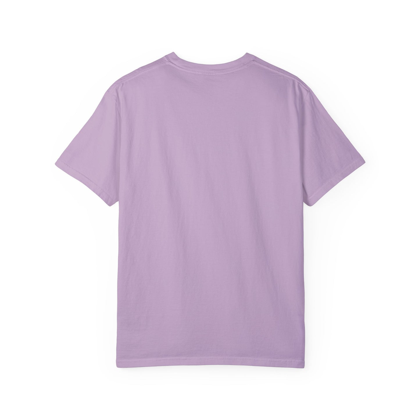 Sense and Sensibility Jane Austen Fan Gift For Historical Romance Reader T-Shirt Printify
