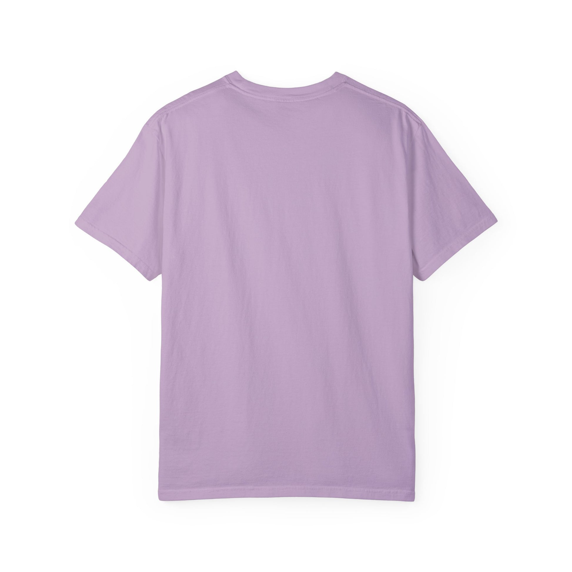 Sense and Sensibility Jane Austen Fan Gift For Historical Romance Reader T-Shirt Printify