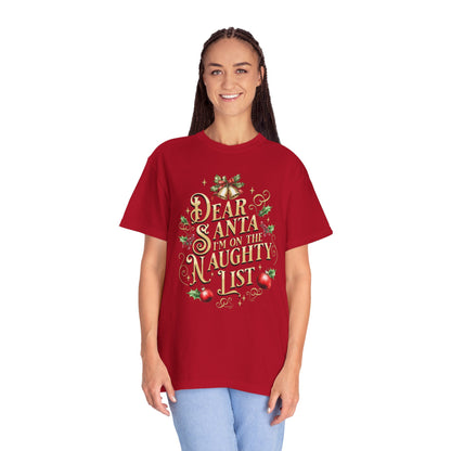 I'm On The Naughty List Christmas T-Shirt, Funny Holiday Gift, Dear Santa I'm the Reason Why Tee, Unisex Casual Wear, Festive Apparel