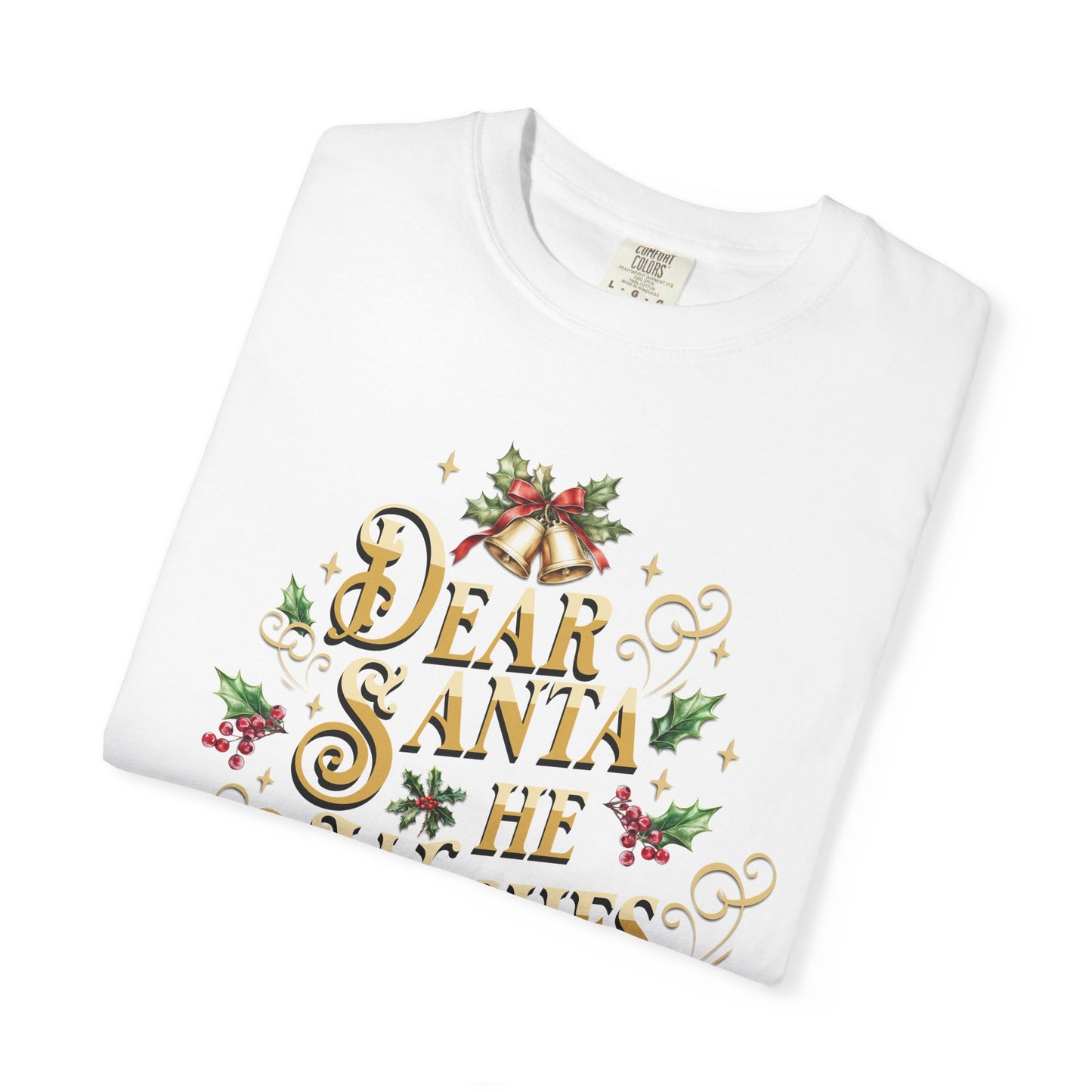 He Wishes Christmas T-Shirt, Funny Holiday Gift, Dear Santa I'm the Reason Why Tee, Unisex Casual Wear, Festive Apparel T-Shirt Printify