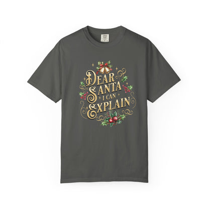 I Can Explain Christmas T-Shirt, Funny Holiday Gift, Dear Santa I'm the Reason Why Tee, Unisex Casual Wear, Festive Apparel T-Shirt Printify Pepper S
