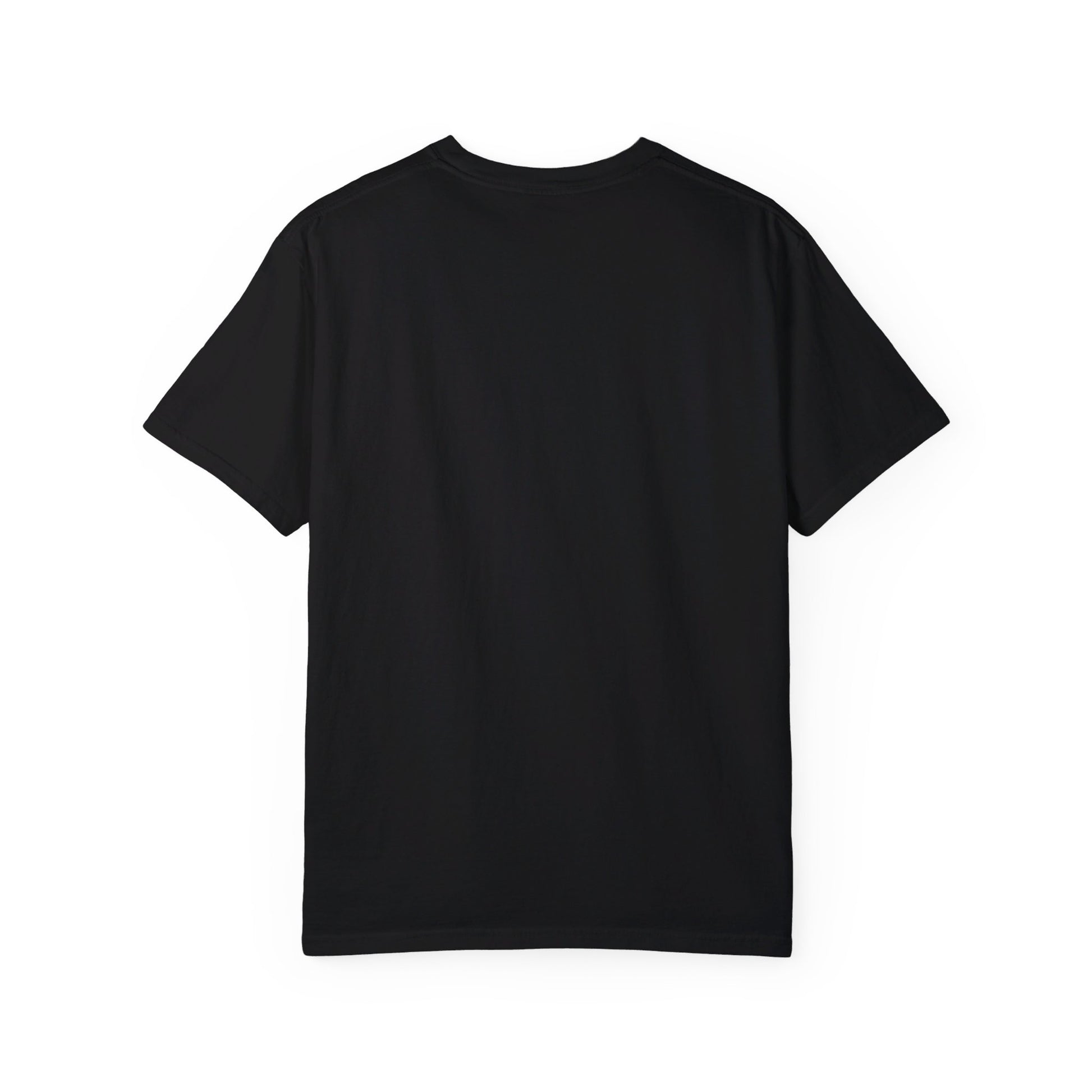 Edgar Allan Poe T-Shirt The Black Cat Nevermore The Raven Poe Fan Art Poetry Book Lover, Dark Cottagecore Macabre Gift, Light, Dark Academia T-Shirt Printify   