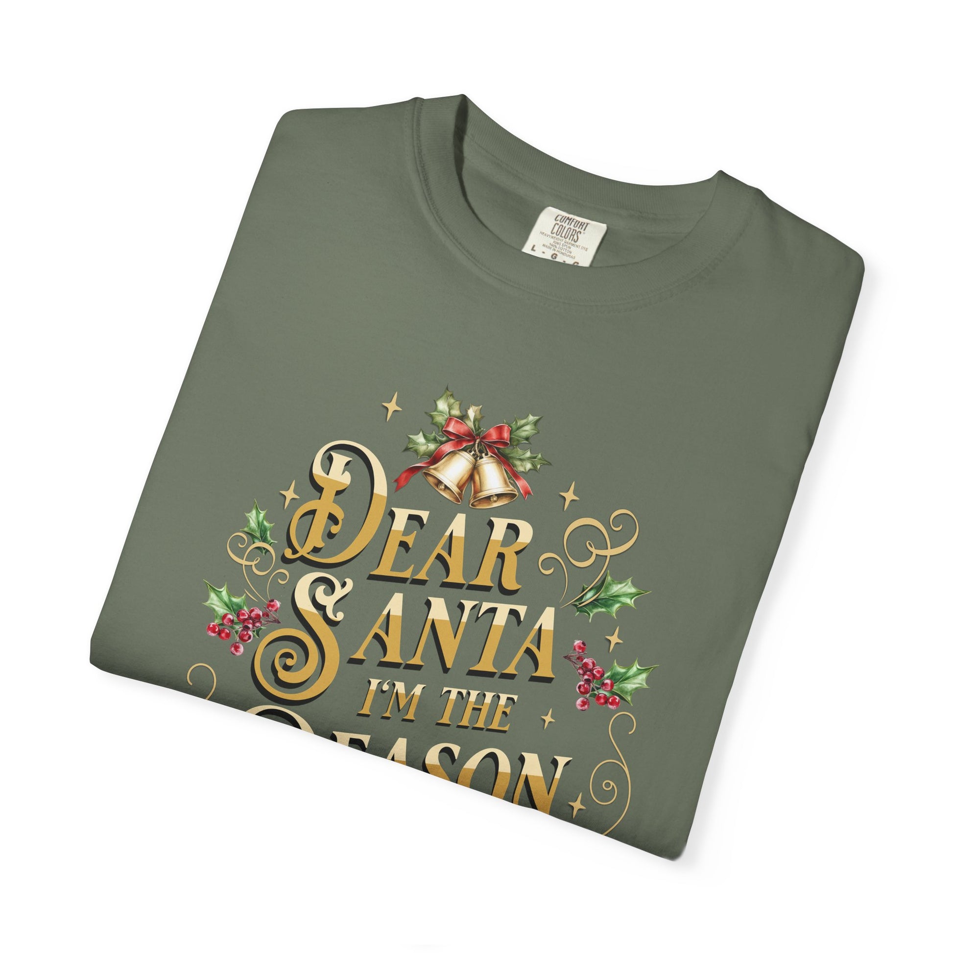 I'm The Reason Why Christmas T-Shirt, Funny Holiday Gift, Dear Santa I'm the Reason Why Tee, Unisex Casual Wear, Festive Apparel T-Shirt Printify
