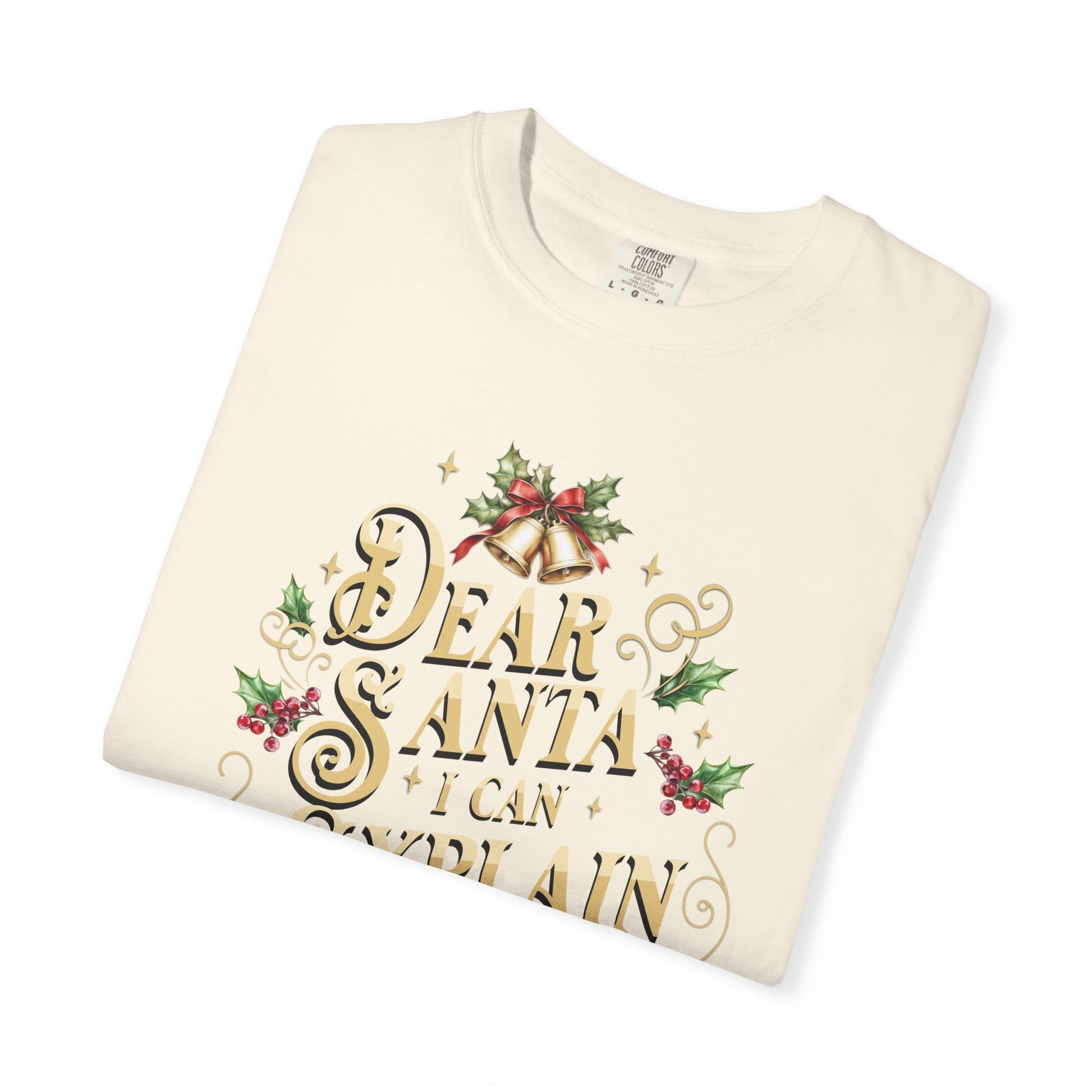 I Can Explain Christmas T-Shirt, Funny Holiday Gift, Dear Santa I'm the Reason Why Tee, Unisex Casual Wear, Festive Apparel T-Shirt Printify
