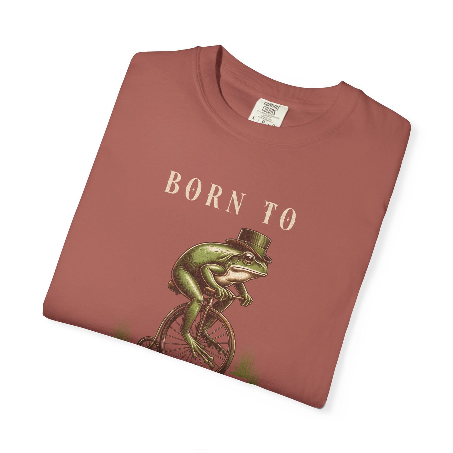 Dilly Dally Frog T-Shirt Retro Vibes Froggy Meme Shirt Vintage Frog And Toad Aesthetic Frog Lover Gift For Her Birthday Viral Trendy Shirt