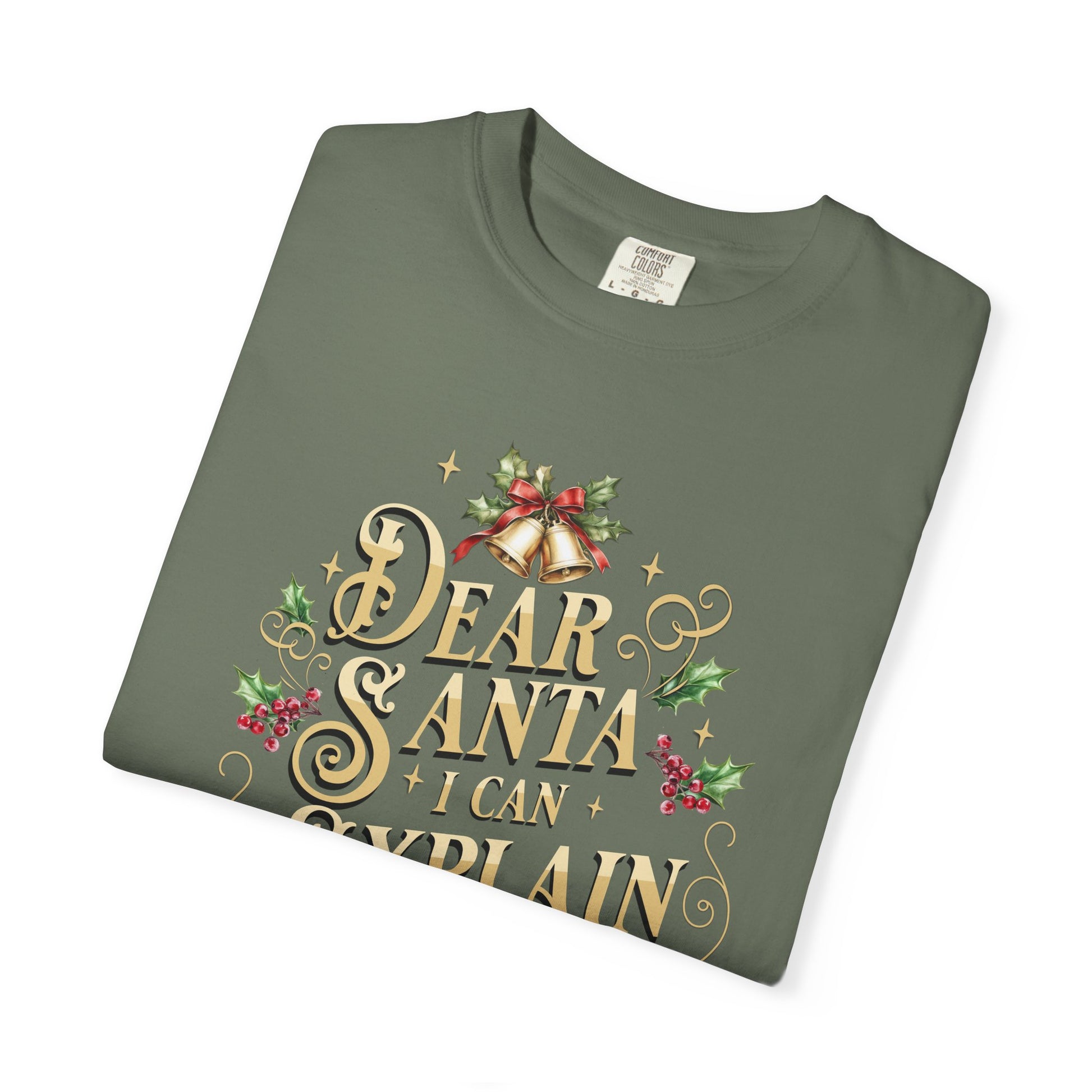 I Can Explain Christmas T-Shirt, Funny Holiday Gift, Dear Santa I'm the Reason Why Tee, Unisex Casual Wear, Festive Apparel T-Shirt Printify
