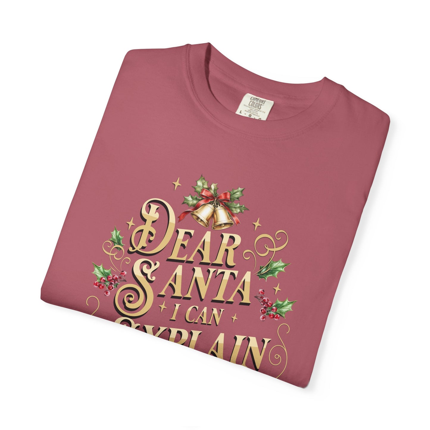 I Can Explain Christmas T-Shirt, Funny Holiday Gift, Dear Santa I'm the Reason Why Tee, Unisex Casual Wear, Festive Apparel