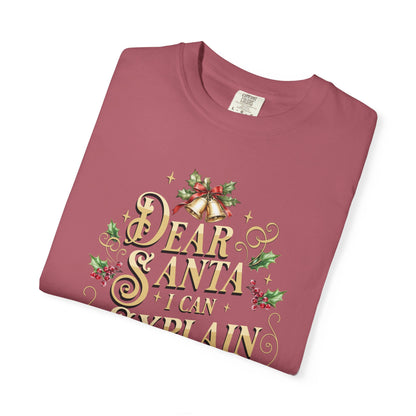 I Can Explain Christmas T-Shirt, Funny Holiday Gift, Dear Santa I'm the Reason Why Tee, Unisex Casual Wear, Festive Apparel