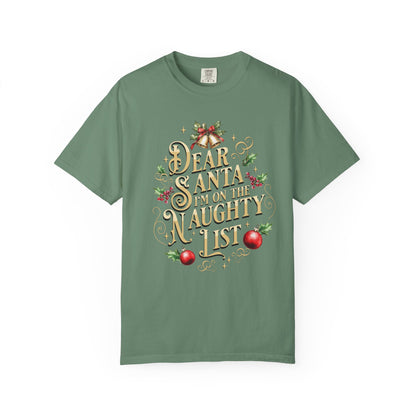 I'm On The Naughty List Christmas T-Shirt, Funny Holiday Gift, Dear Santa I'm the Reason Why Tee, Unisex Casual Wear, Festive Apparel T-Shirt Printify Light Green S