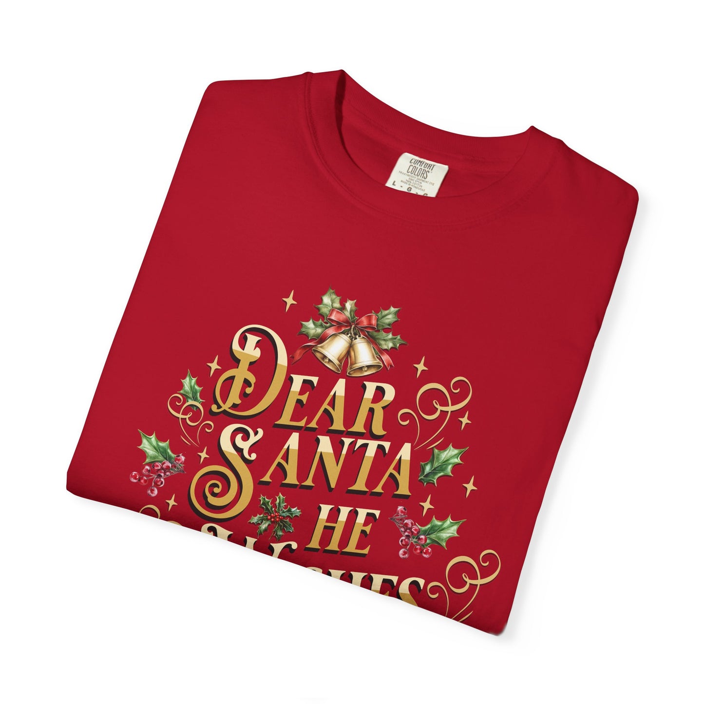 He Wishes Christmas T-Shirt, Funny Holiday Gift, Dear Santa I'm the Reason Why Tee, Unisex Casual Wear, Festive Apparel