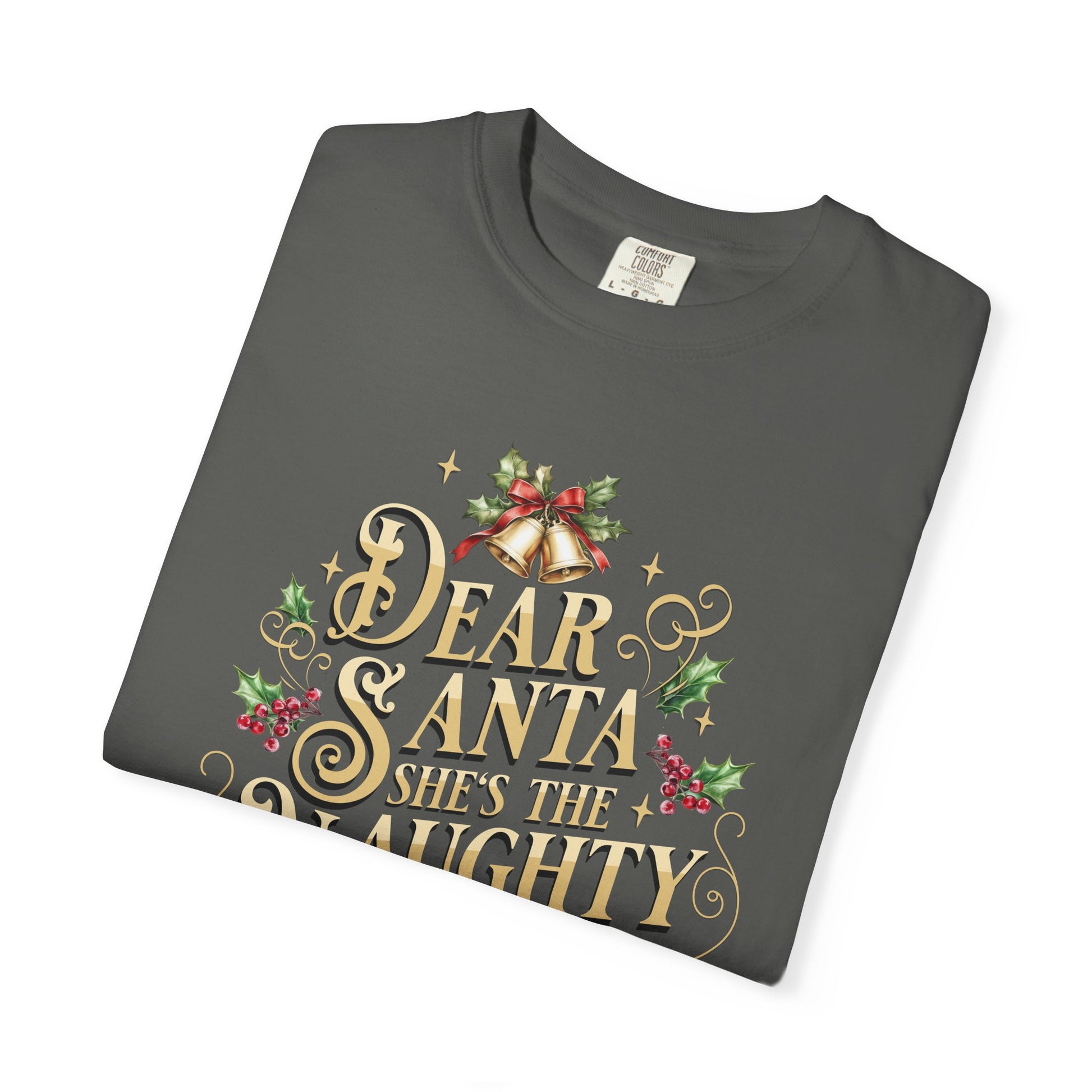 She's The Naughty One Christmas T-Shirt, Funny Holiday Gift, Dear Santa I'm the Reason Why Tee, Unisex Casual Wear, Festive Apparel T-Shirt Printify