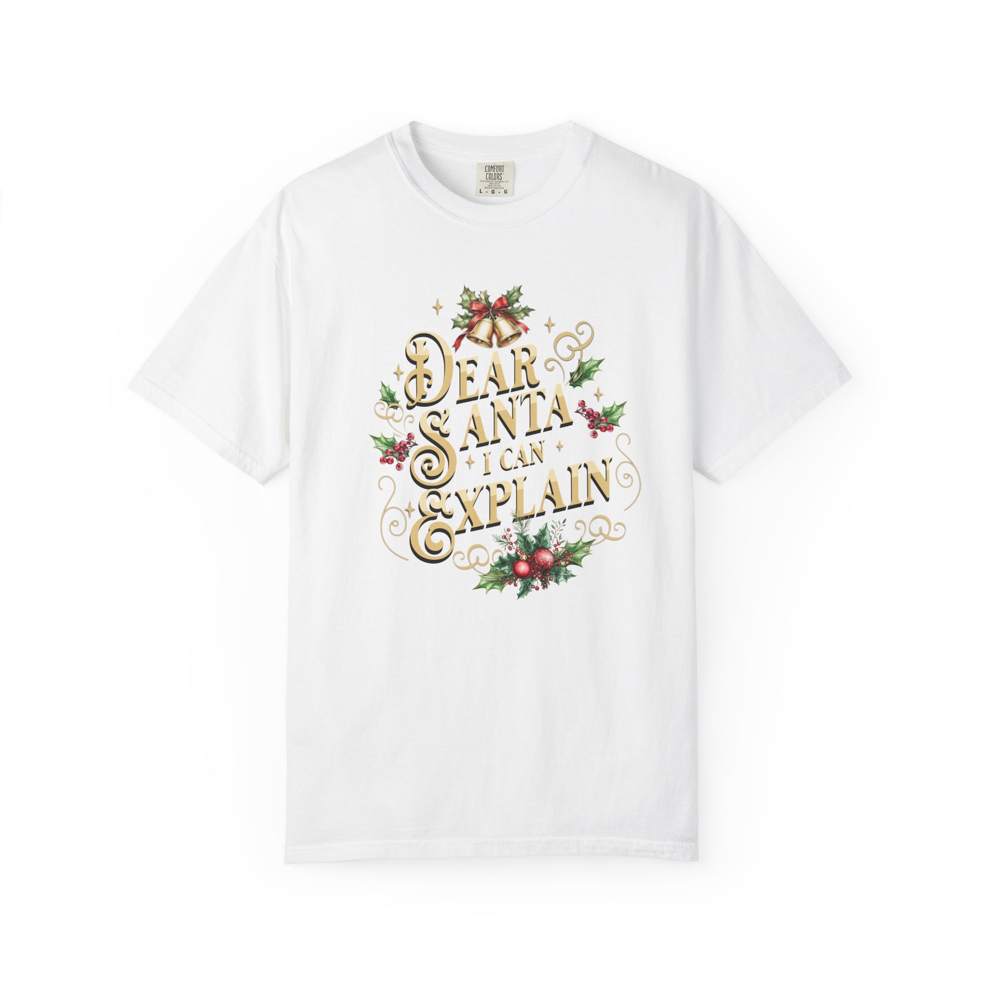 I Can Explain Christmas T-Shirt, Funny Holiday Gift, Dear Santa I'm the Reason Why Tee, Unisex Casual Wear, Festive Apparel T-Shirt Printify White S