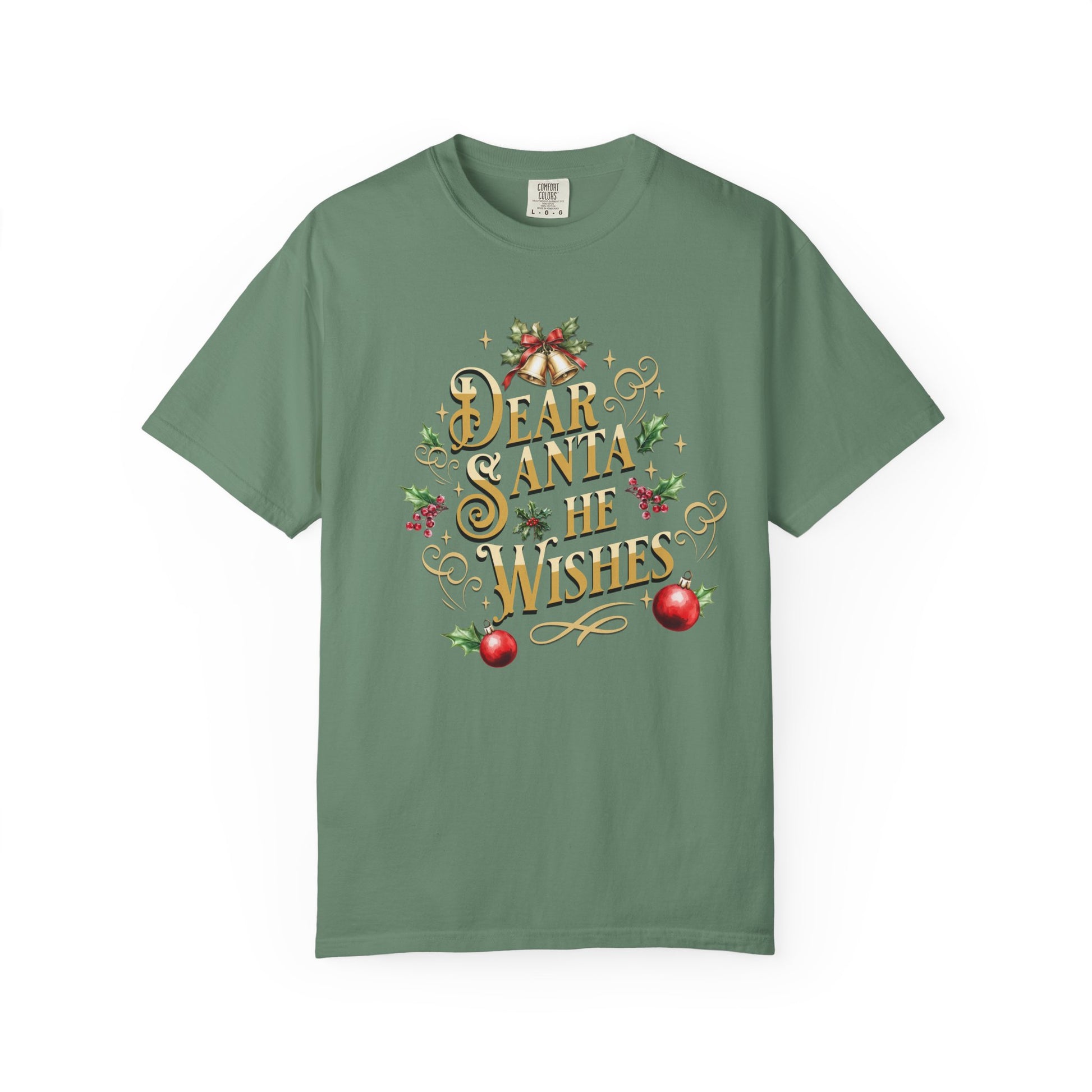 He Wishes Christmas T-Shirt, Funny Holiday Gift, Dear Santa I'm the Reason Why Tee, Unisex Casual Wear, Festive Apparel T-Shirt Printify Light Green S