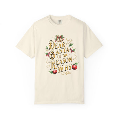 I'm The Reason Why Christmas T-Shirt, Funny Holiday Gift, Dear Santa I'm the Reason Why Tee, Unisex Casual Wear, Festive Apparel T-Shirt Printify Ivory S