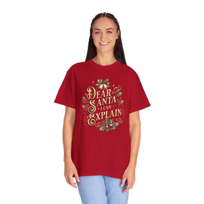 I Can Explain Christmas T-Shirt, Funny Holiday Gift, Dear Santa I'm the Reason Why Tee, Unisex Casual Wear, Festive Apparel