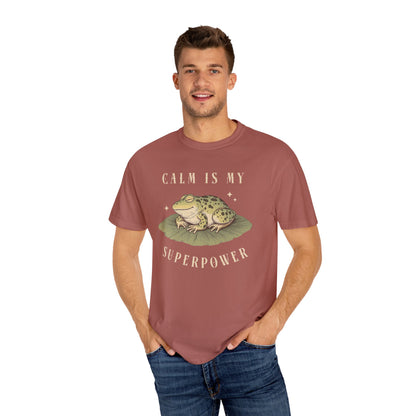 Funny Frog T-Shirt Retro Vibes Froggy Meme Shirt Vintage Frog And Toad Aesthetic Frog Lover Gift For Her Birthday Viral Trendy Shirt