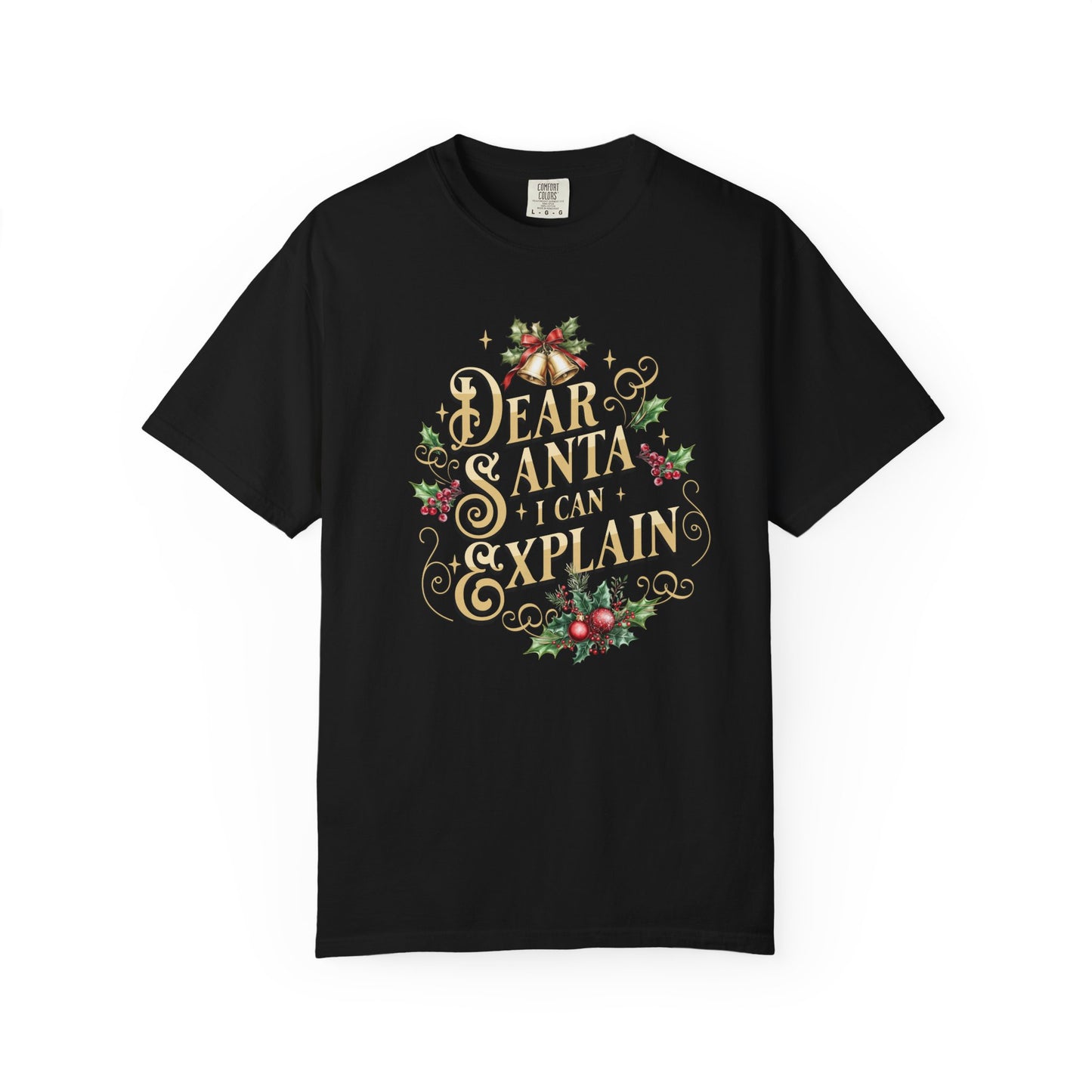I Can Explain Christmas T-Shirt, Funny Holiday Gift, Dear Santa I'm the Reason Why Tee, Unisex Casual Wear, Festive Apparel T-Shirt Printify Black S