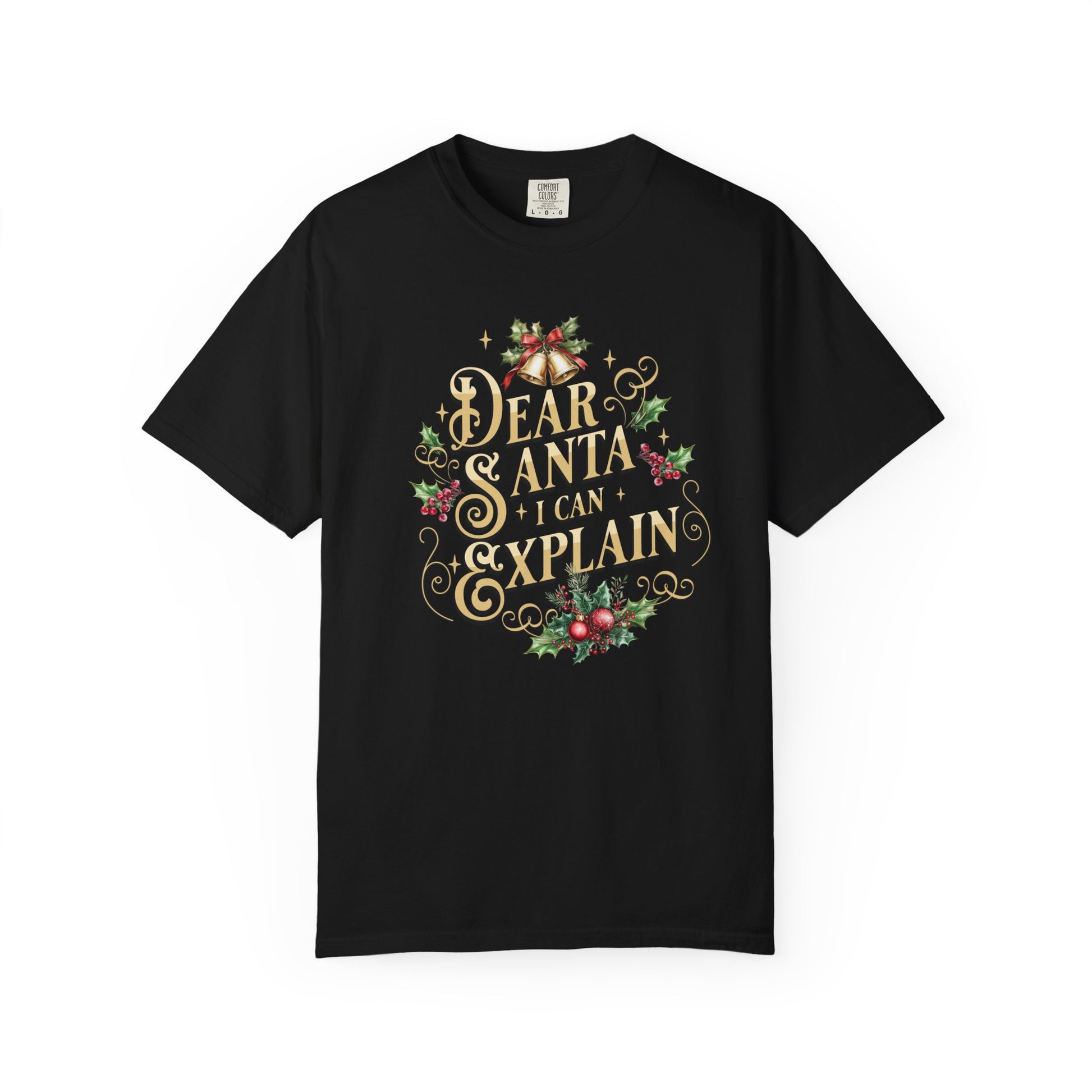 I Can Explain Christmas T-Shirt, Funny Holiday Gift, Dear Santa I'm the Reason Why Tee, Unisex Casual Wear, Festive Apparel T-Shirt Printify Black S