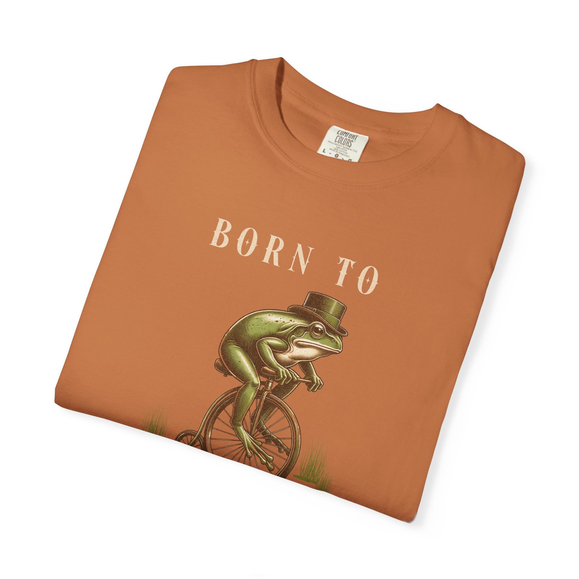 Dilly Dally Frog T-Shirt Retro Vibes Froggy Meme Shirt Vintage Frog And Toad Aesthetic Frog Lover Gift For Her Birthday Viral Trendy Shirt T-Shirt Printify