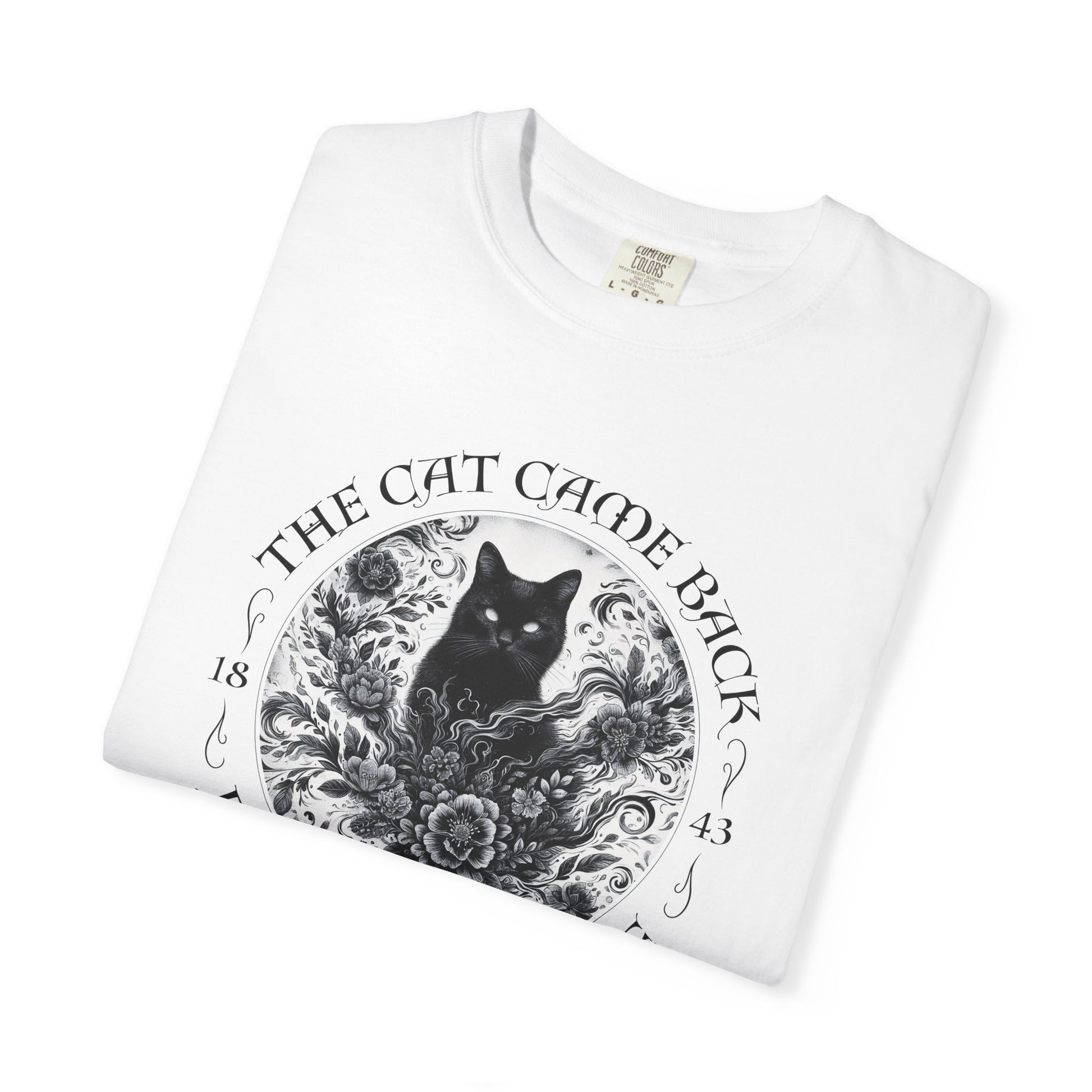 Gothic Cat TShirt Edgar Allan Poe The Black Cat Dark Academia Cottagecore Aesthetic Book Lover Gift Haunting Apparel Halloween Fall Tee T-Shirt Printify