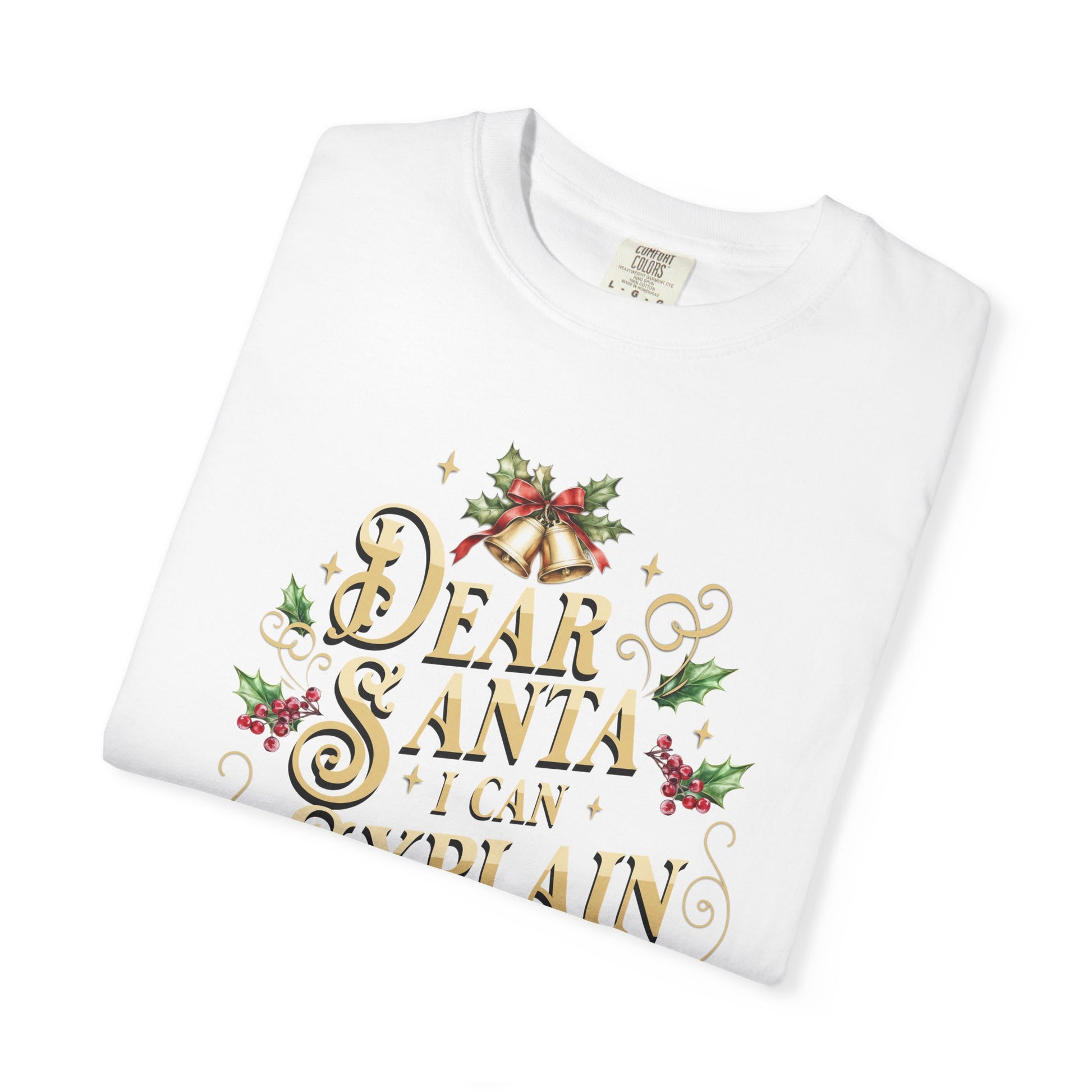 I Can Explain Christmas T-Shirt, Funny Holiday Gift, Dear Santa I'm the Reason Why Tee, Unisex Casual Wear, Festive Apparel T-Shirt Printify