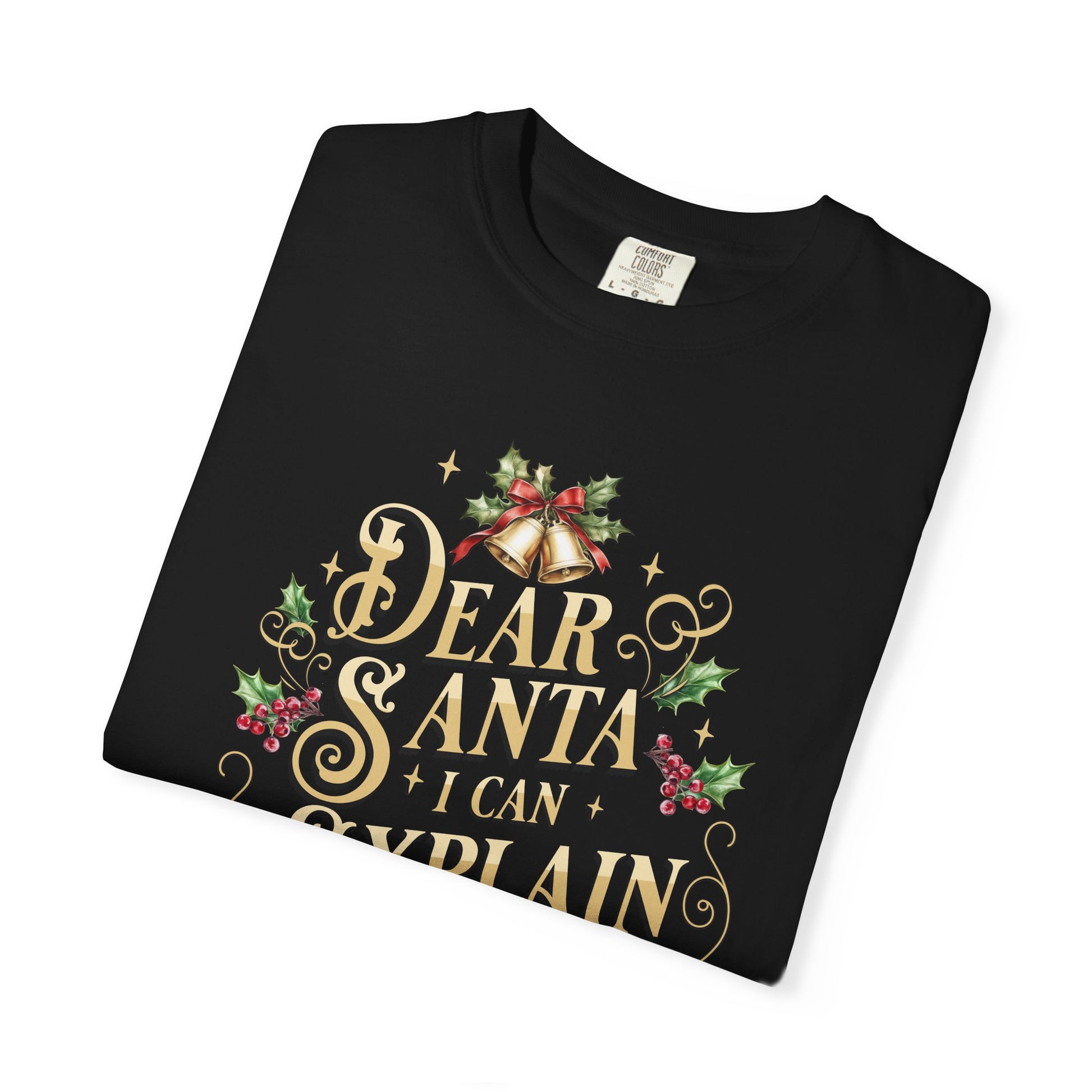 I Can Explain Christmas T-Shirt, Funny Holiday Gift, Dear Santa I'm the Reason Why Tee, Unisex Casual Wear, Festive Apparel T-Shirt Printify