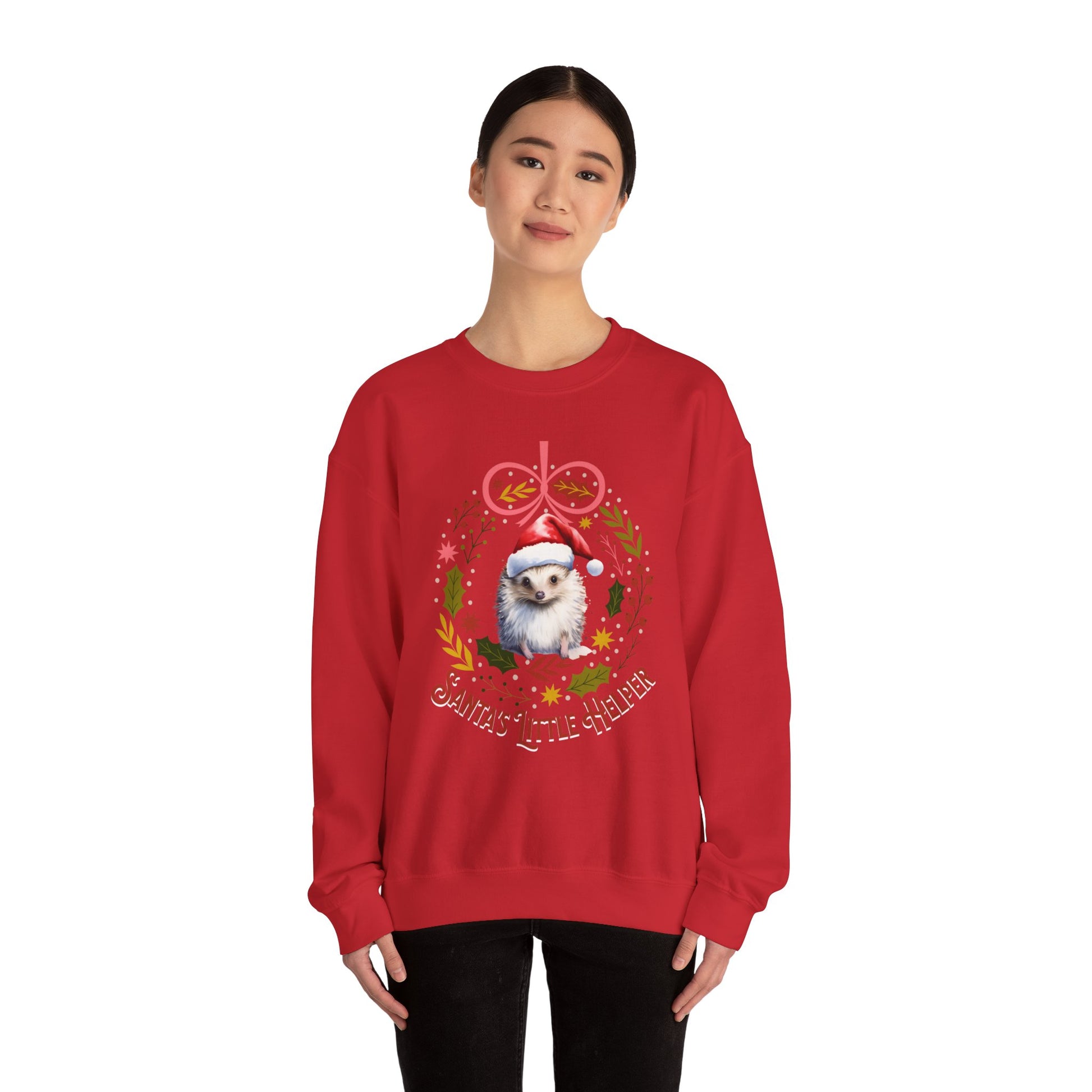 HedgeHog Christmas Sweatshirt, Cute Santa's Little Helper Sweater, Hedgehog Lover Merry Christmas Shirt, Country Christmas Animal Lover Gift Sweatshirt Printify   