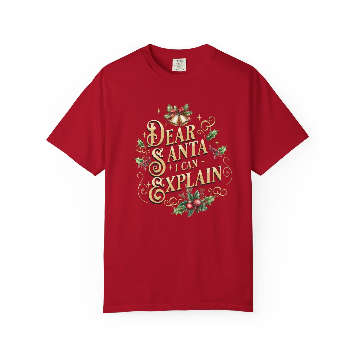 I Can Explain Christmas T-Shirt, Funny Holiday Gift, Dear Santa I'm the Reason Why Tee, Unisex Casual Wear, Festive Apparel T-Shirt Printify Red S