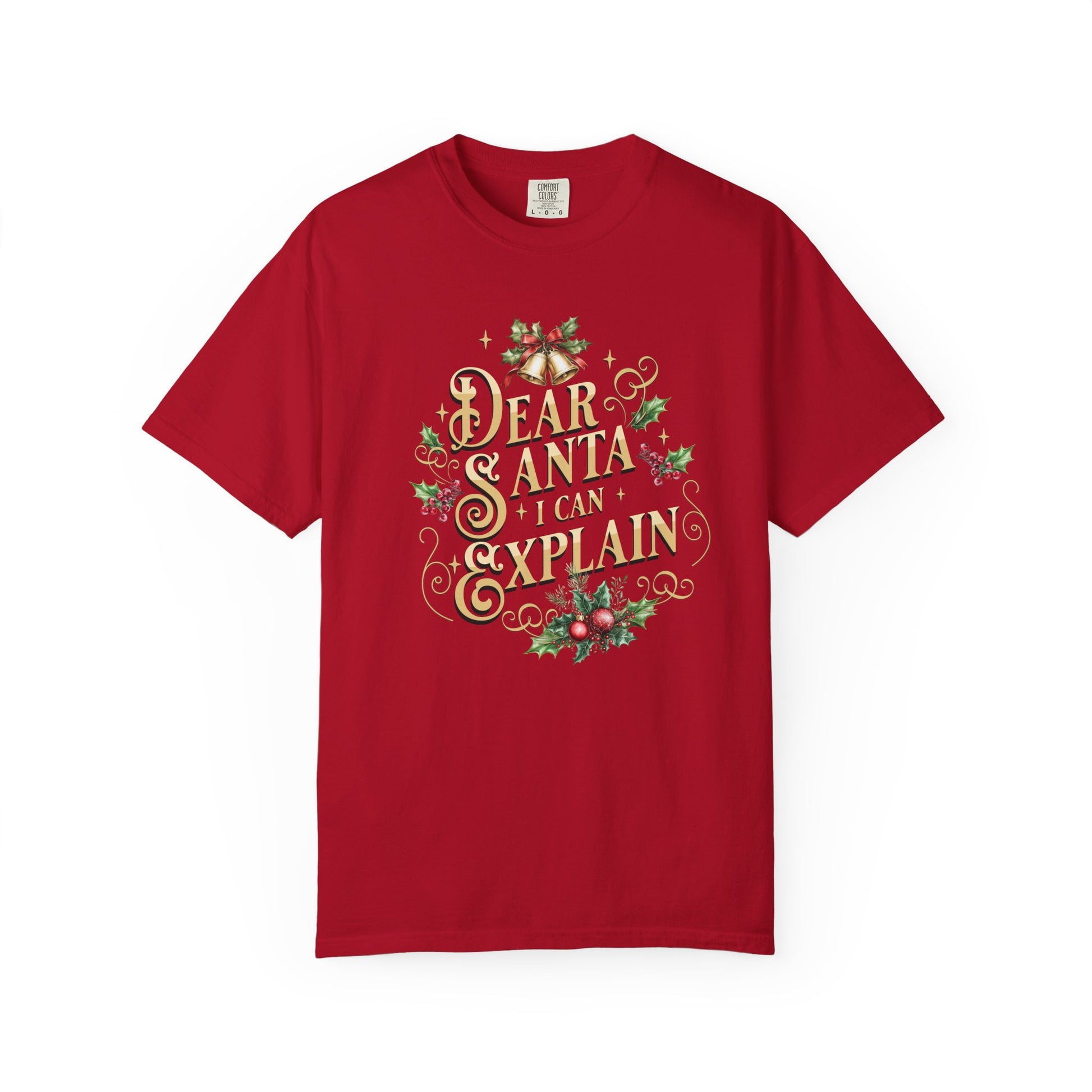 I Can Explain Christmas T-Shirt, Funny Holiday Gift, Dear Santa I'm the Reason Why Tee, Unisex Casual Wear, Festive Apparel T-Shirt Printify Red S