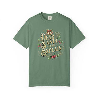 I Can Explain Christmas T-Shirt, Funny Holiday Gift, Dear Santa I'm the Reason Why Tee, Unisex Casual Wear, Festive Apparel T-Shirt Printify Light Green S