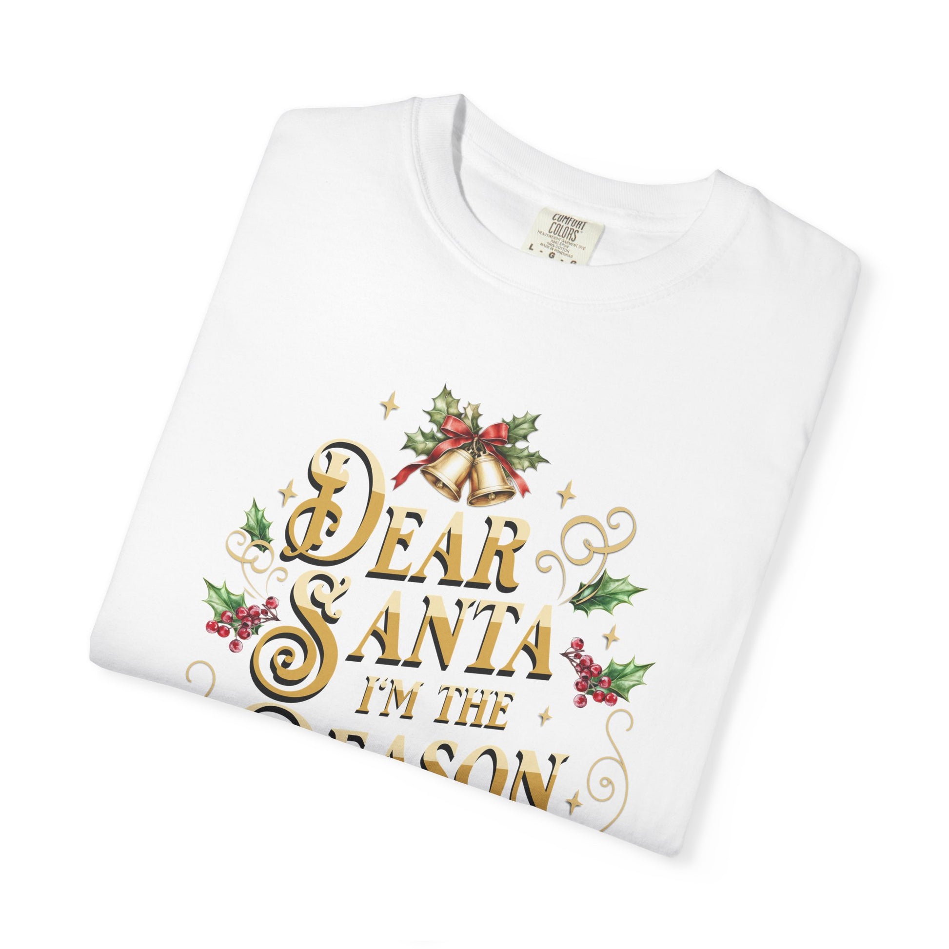 I'm The Reason Why Christmas T-Shirt, Funny Holiday Gift, Dear Santa I'm the Reason Why Tee, Unisex Casual Wear, Festive Apparel T-Shirt Printify