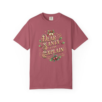 I Can Explain Christmas T-Shirt, Funny Holiday Gift, Dear Santa I'm the Reason Why Tee, Unisex Casual Wear, Festive Apparel T-Shirt Printify Crimson S