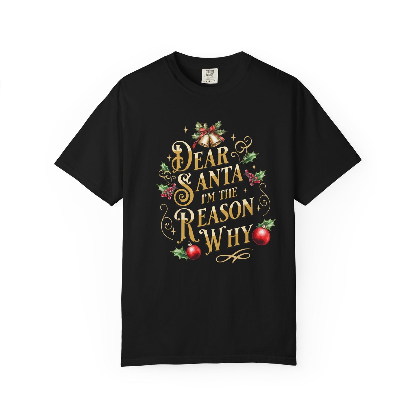 I'm The Reason Why Christmas T-Shirt, Funny Holiday Gift, Dear Santa I'm the Reason Why Tee, Unisex Casual Wear, Festive Apparel T-Shirt Printify Black S