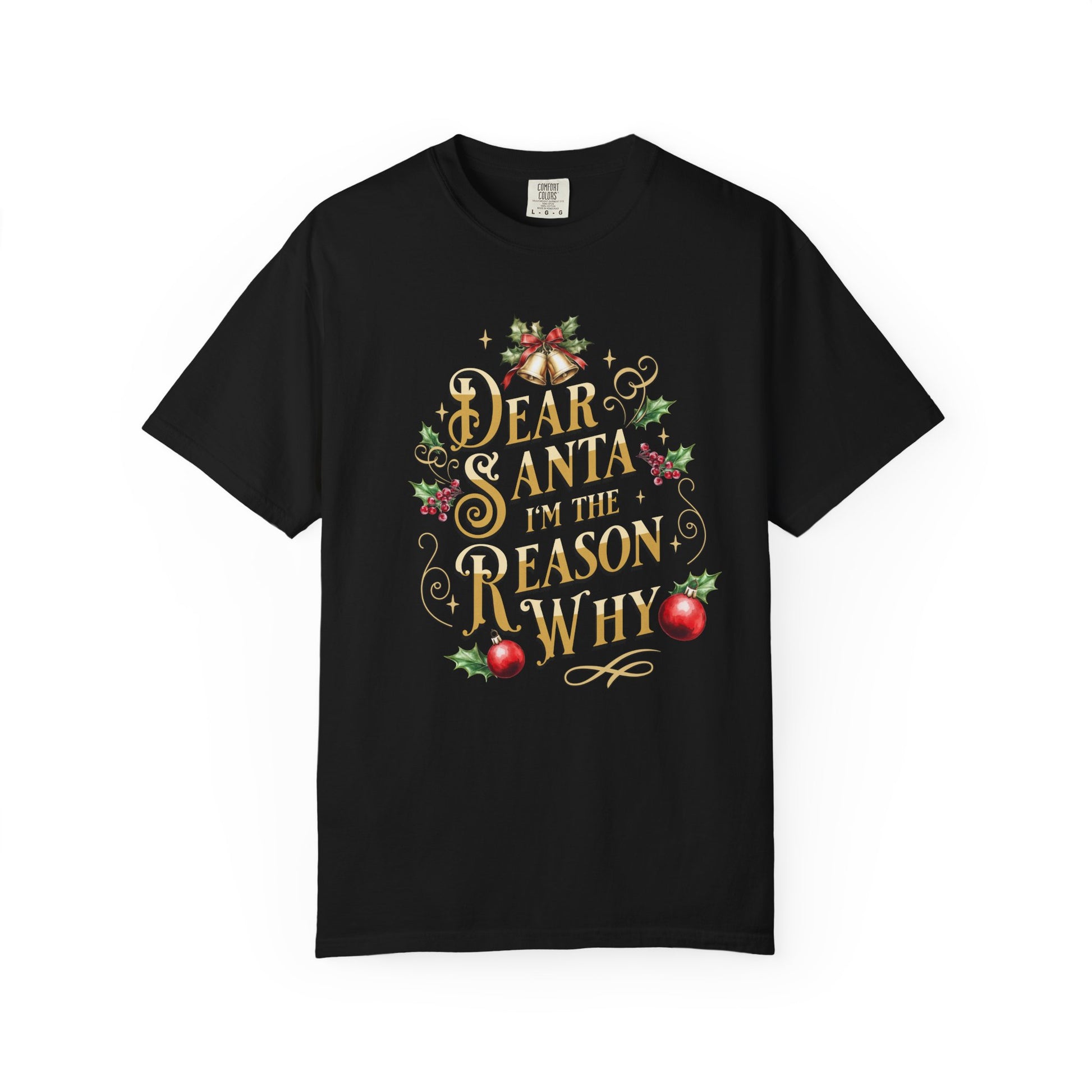 I'm The Reason Why Christmas T-Shirt, Funny Holiday Gift, Dear Santa I'm the Reason Why Tee, Unisex Casual Wear, Festive Apparel T-Shirt Printify Black S