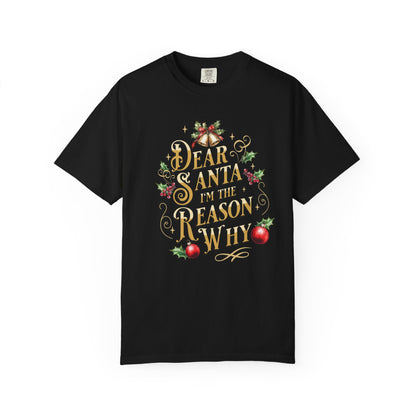 I'm The Reason Why Christmas T-Shirt, Funny Holiday Gift, Dear Santa I'm the Reason Why Tee, Unisex Casual Wear, Festive Apparel T-Shirt Printify Black S