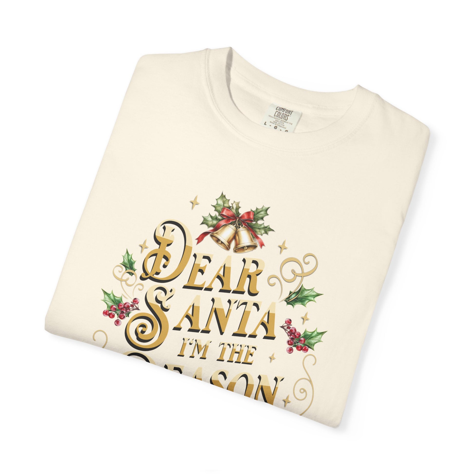 I'm The Reason Why Christmas T-Shirt, Funny Holiday Gift, Dear Santa I'm the Reason Why Tee, Unisex Casual Wear, Festive Apparel T-Shirt Printify
