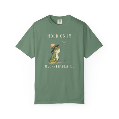 Overstimulated Frog T-Shirt Retro Fun Froggy Meme Shirt Vintage Frog And Toad Aesthetic Frog Lover Gift For Her Birthday Viral Trendy Shirt T-Shirt Printify Light Green S