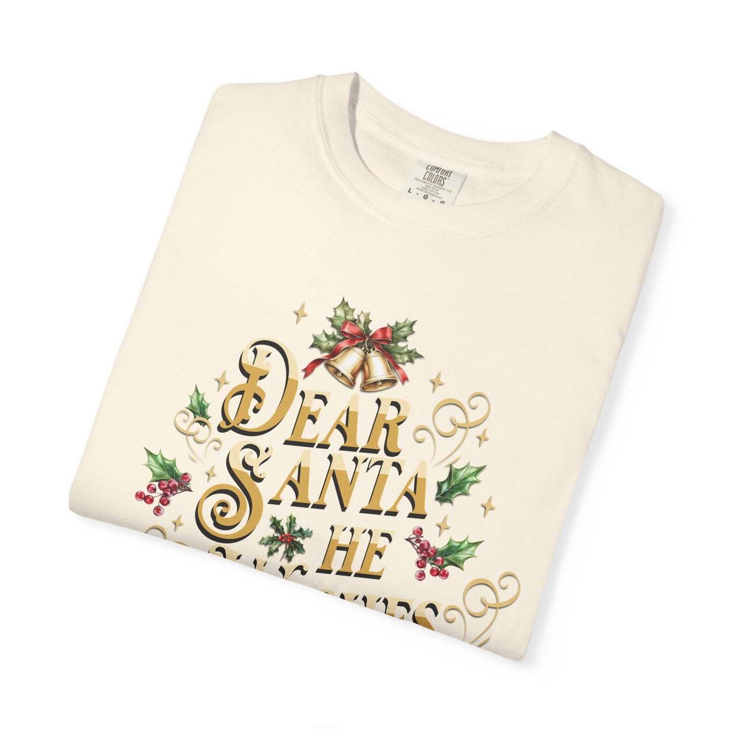 He Wishes Christmas T-Shirt, Funny Holiday Gift, Dear Santa I'm the Reason Why Tee, Unisex Casual Wear, Festive Apparel T-Shirt Printify